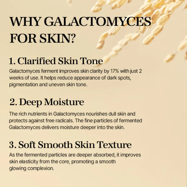 #Skin Brightening Toner mixsoon Galactomyces Toner 300ml - Image 5