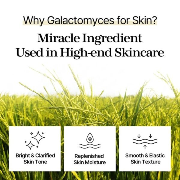 #Skin Brightening Toner mixsoon Galactomyces Toner 300ml - Image 4